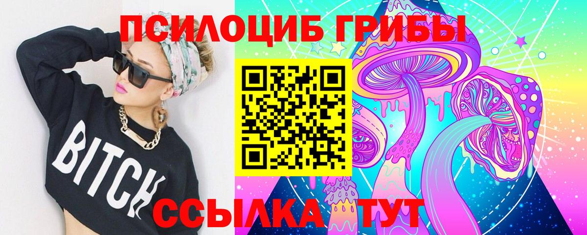 Михайловка  Псилоцибиновые грибы Psilocybine cubensis  Вход с VPN  Псилоцибиновые грибы MAGIC MUSHROOMS 